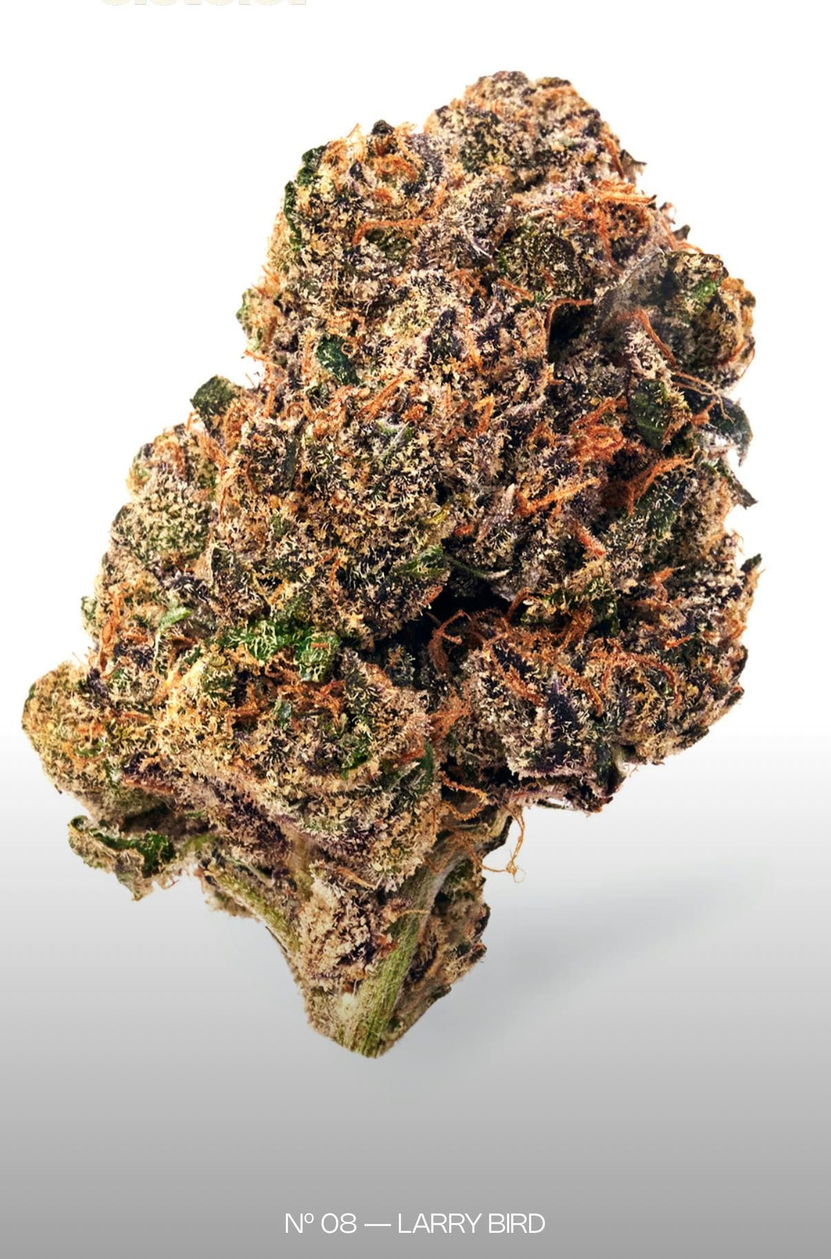 product image for Larry Bird Flower 3.5g