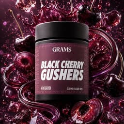 Black Cherry Gushers | Flower | 3.5g