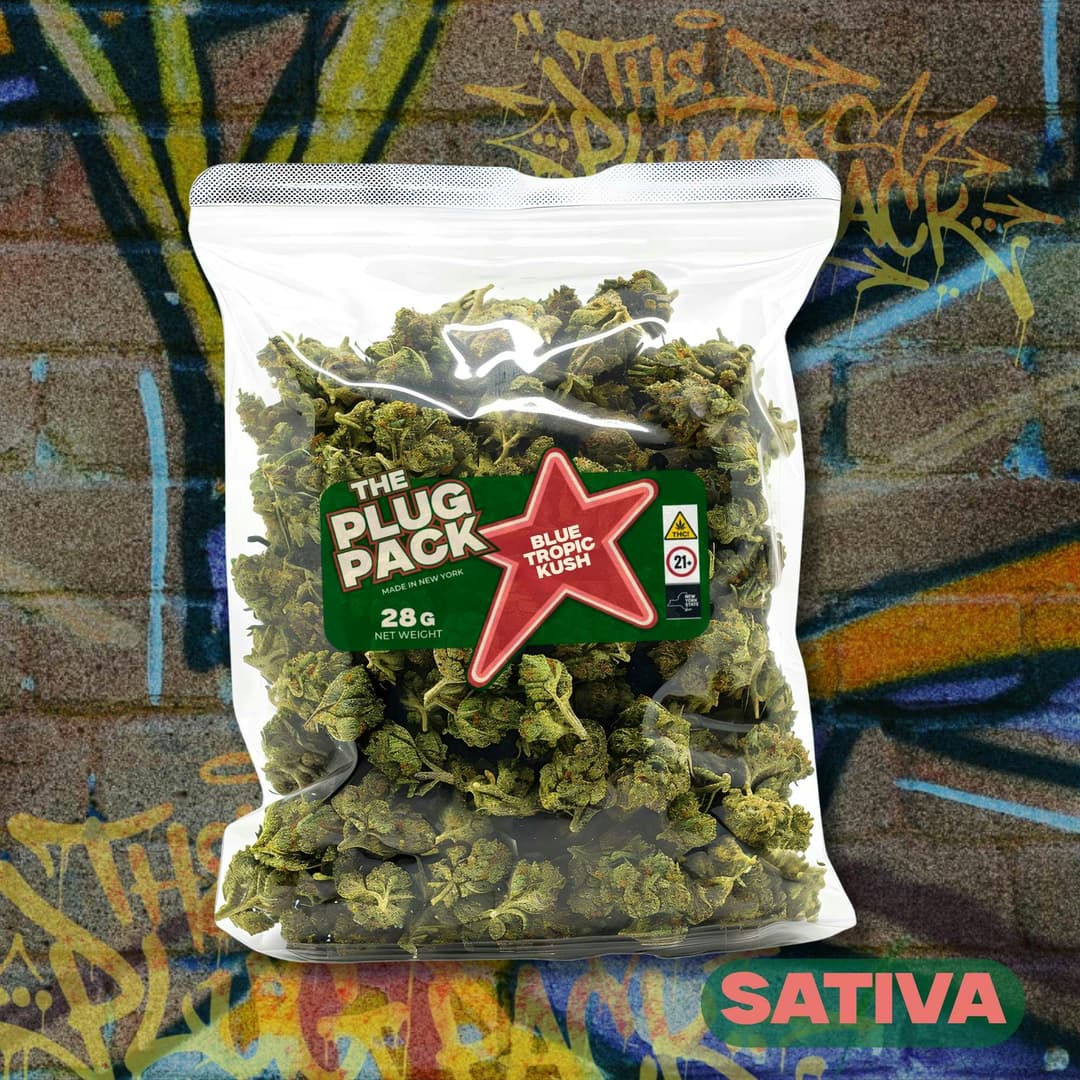Blue Tropic Kush • Flower • 28g - The Plug Pack | Treehouse Cannabis
