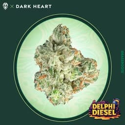 Delphi Diesel "Dark Heart Collection" | Flower • 14g