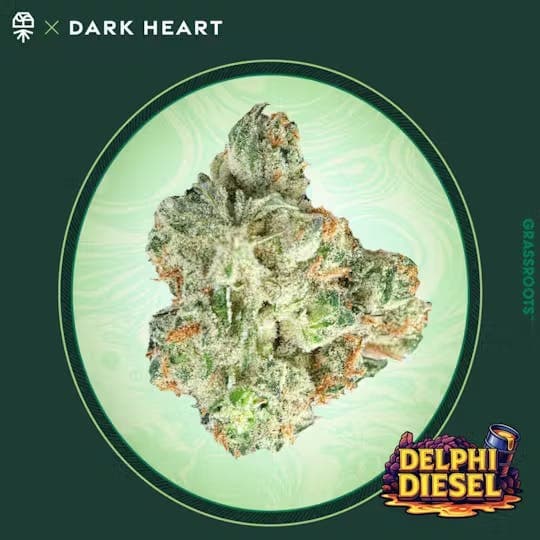 product image for Delphi Diesel "Dark Heart Collection" Flower 14g