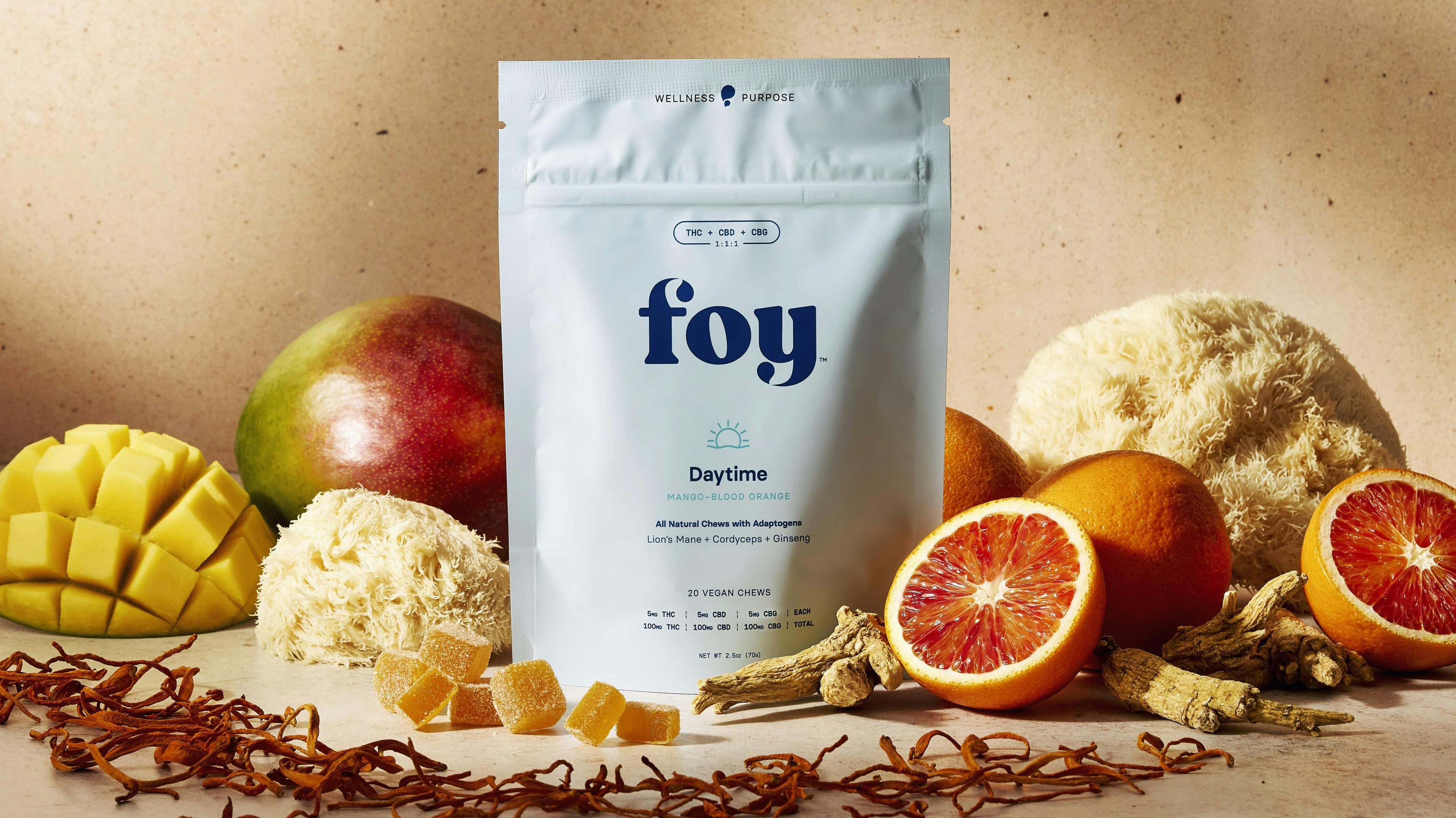 Daytime Chews with Organic Adaptogens 1:1:1 THC/CBD/CBG - 100mg, 20 pck - Foy
