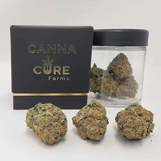 Thin Mintz • Flower • 3.5g • Canna Cure - CANNA-CURE | Treehouse Cannabis