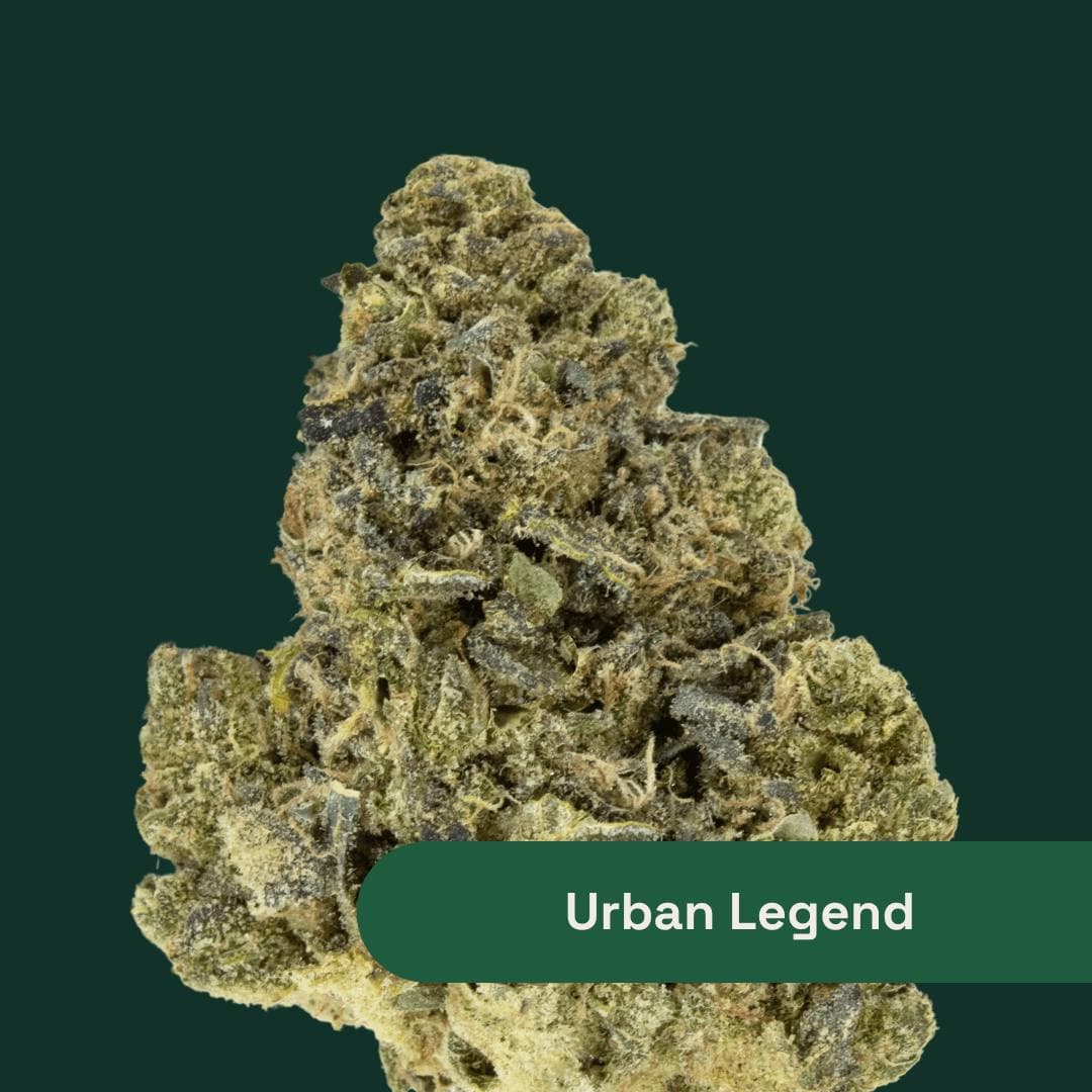 Urban Legend • Flower • 3.5g - The Botanist | Treehouse Cannabis