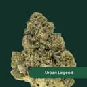 Urban Legend | Flower | 3.5g