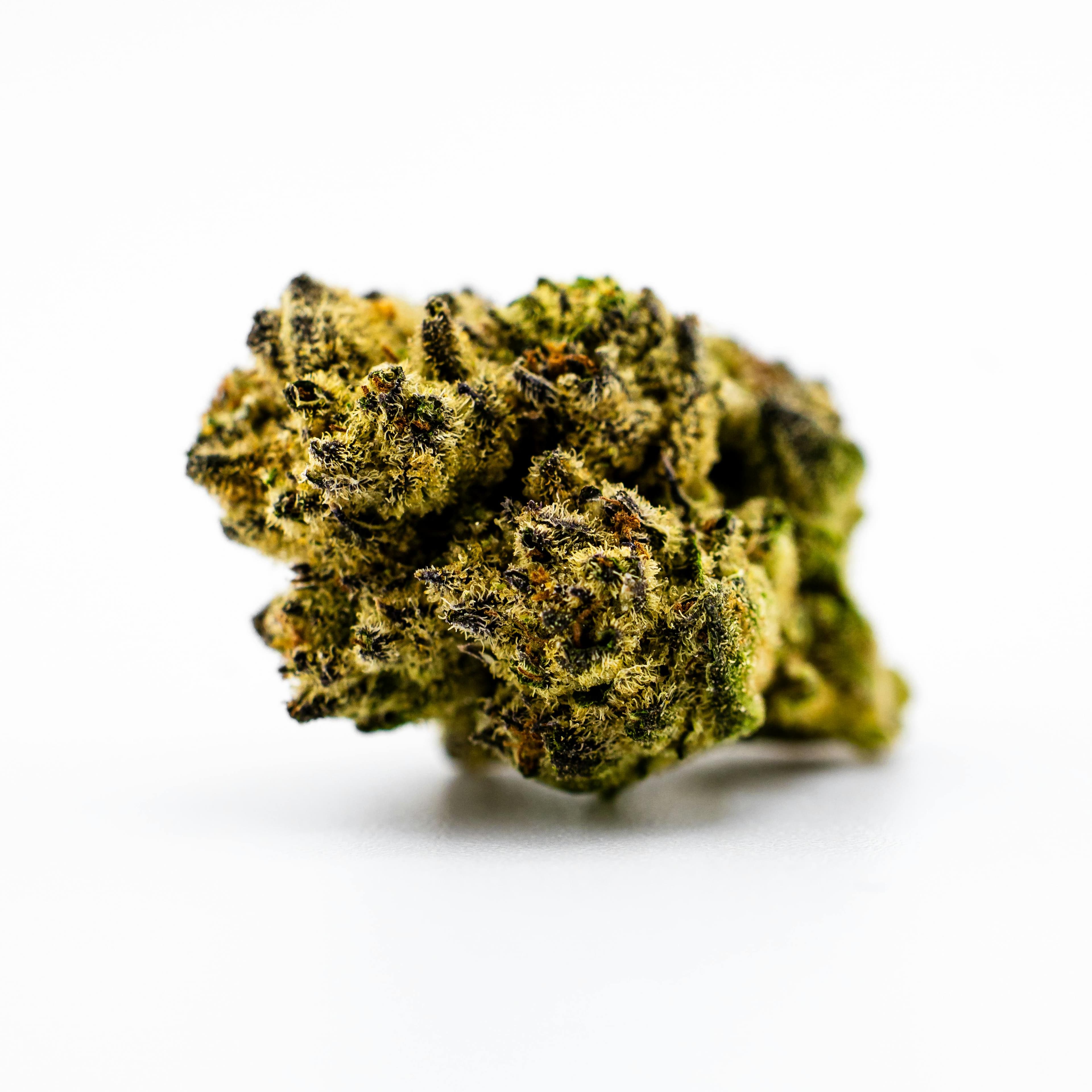 GORILLA COOKIES (3.5G BAG) - Dank By Definition.