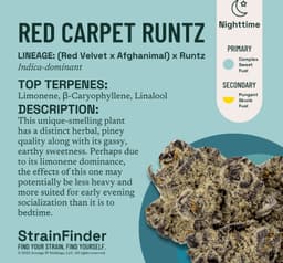 Red Carpet Runtz | Flower | 3.5g