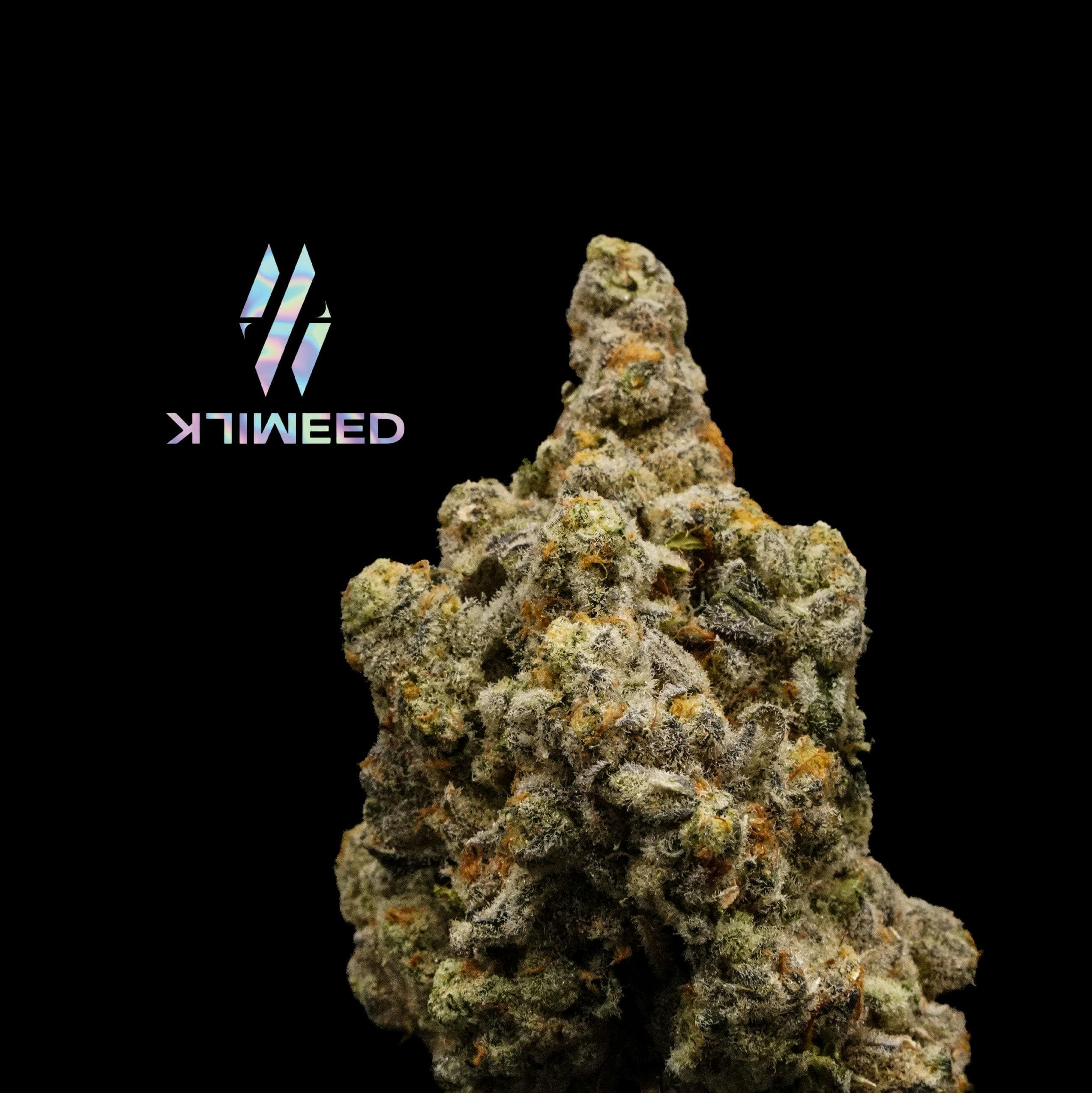 White Buffalo Flower 3.5Gg - Milkweed