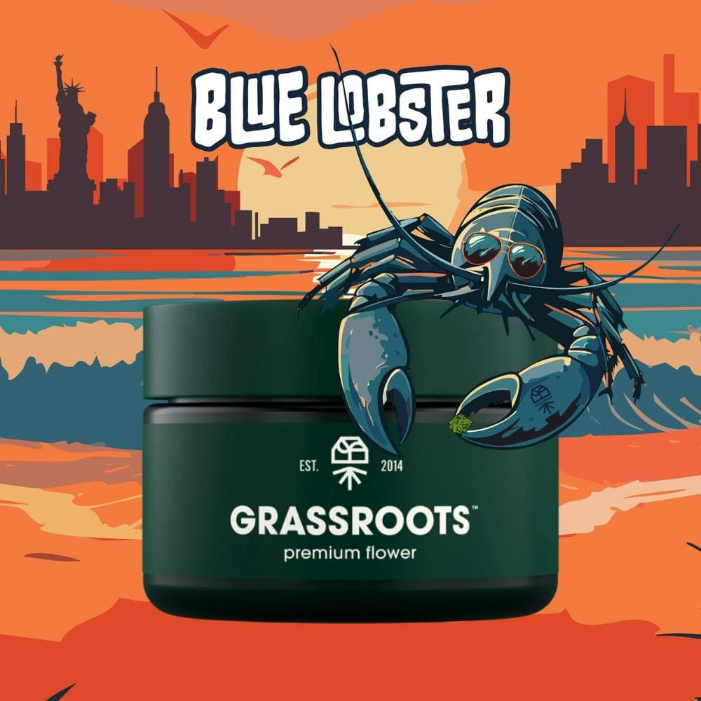 Blue Lobster • 3.5g - Grassroots | Treehouse Cannabis