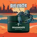 Blue Lobster | 3.5g