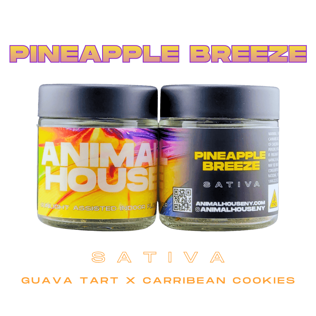 Pineapple Breeze • Flower • 3.5g - Animal House | Treehouse Cannabis