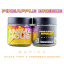 Pineapple Breeze | Flower | 3.5g