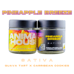 Pineapple Breeze | Flower | 3.5g