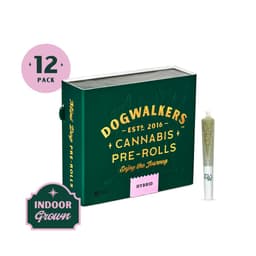 Afternoon Delight • Pre Rolls • 12 Pack • 4.2g