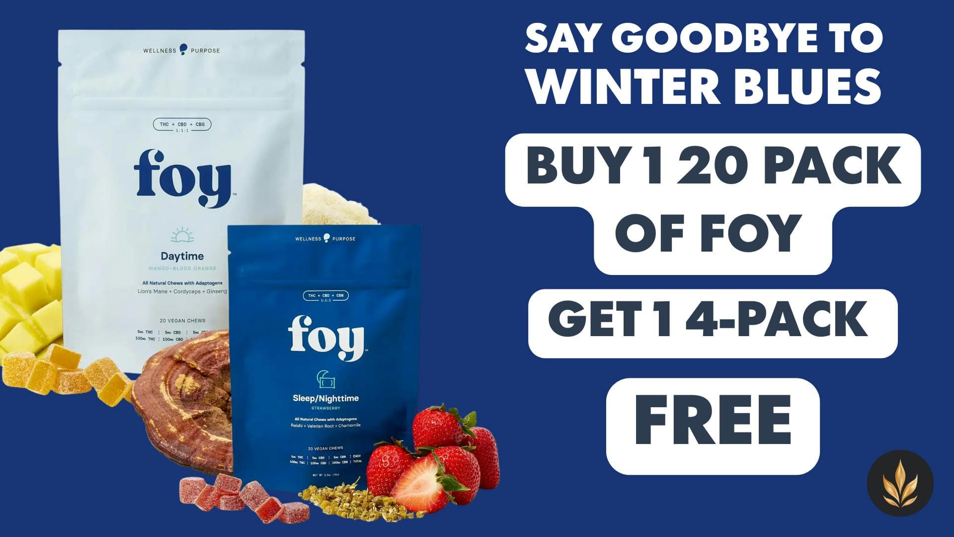 Deal: Buy one full pack of Foy Daytime or Nighttime Gummies get a FREE 4-pack of