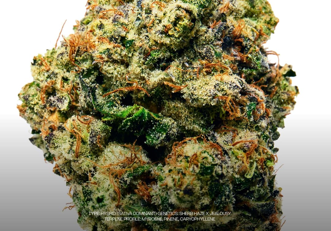 Sour Headband • Flower • 3.5g - Dada Exotics | Treehouse Cannabis