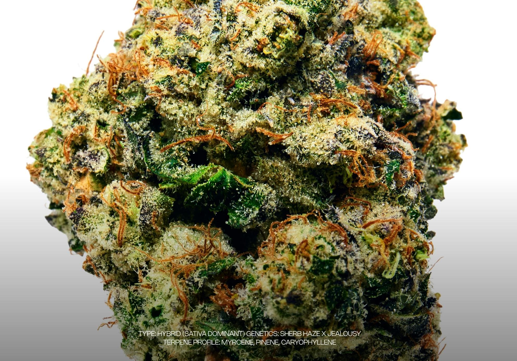 Sour Headband Flower 3.5g - Dada Exotics