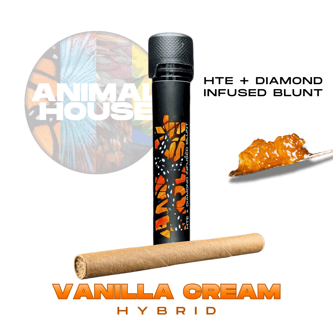 product image for Vanilla Cream infused Blunt 1.5g