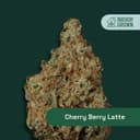 Cherry Berry Latte  | Flower | 3.5g
