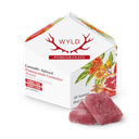 Pomegranate 1:1 CBD + Hybrid Enhanced Gummies | THC: 100mg, CBD: 100mg