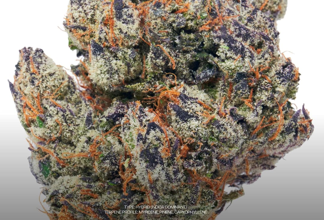 Sour Gusherz • Flower • 3.5g - Dada Exotics | Treehouse Cannabis