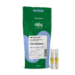 Turbo Blueberry |  2 pack Cartridge | 1g