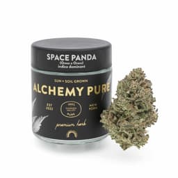 Space Panda | Alchemy Pure | Flower |  3.5g