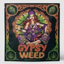 Gelato Cake • Flower • 28g