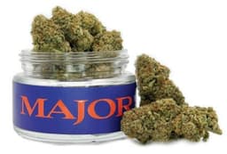 The One | Flower | 3.5g