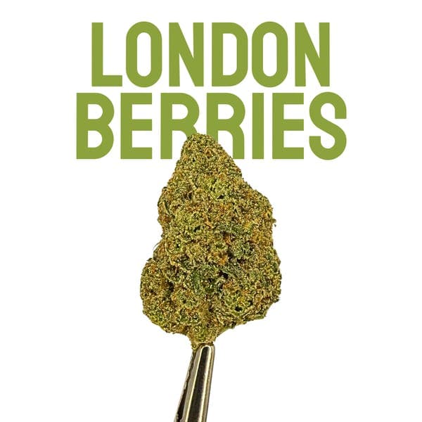 London Berries Flower 28g - Native Nations