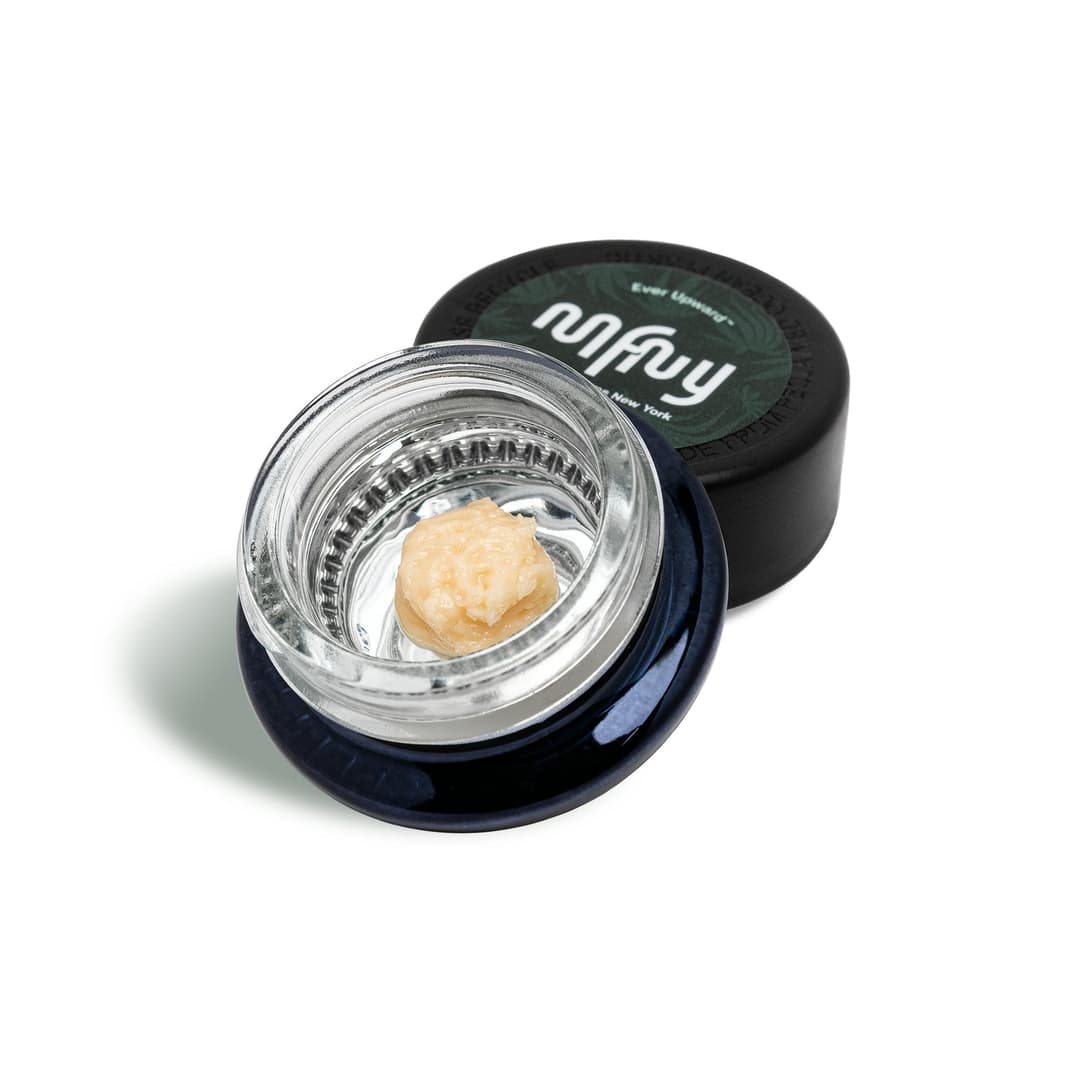 Turbo blueberry • Live Resin Badder • 1gram - MFNY | Treehouse Cannabis