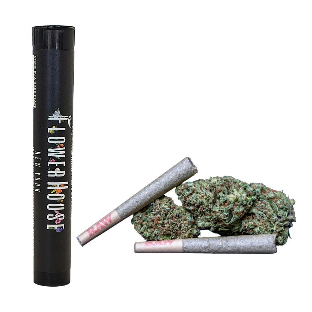 Cap Thai • Infused 2 Pack Pre-Rolls • 1g - Flower House | Treehouse Cannabis