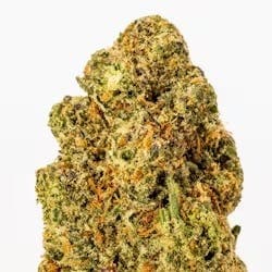 ALASKAN THUNDERFUCK • Flower • 3.5g - Dank By Definition. | Treehouse Cannabis