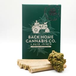 Pineapple Express | 6 Pack Pre-rolls | 3g
