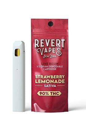 Strawberry Lemonade • Disposable • 1g - Revert | Treehouse Cannabis