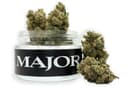 Sour Grapes | Flower | 3.5g