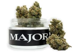 Sour Grapes | Flower | 3.5g