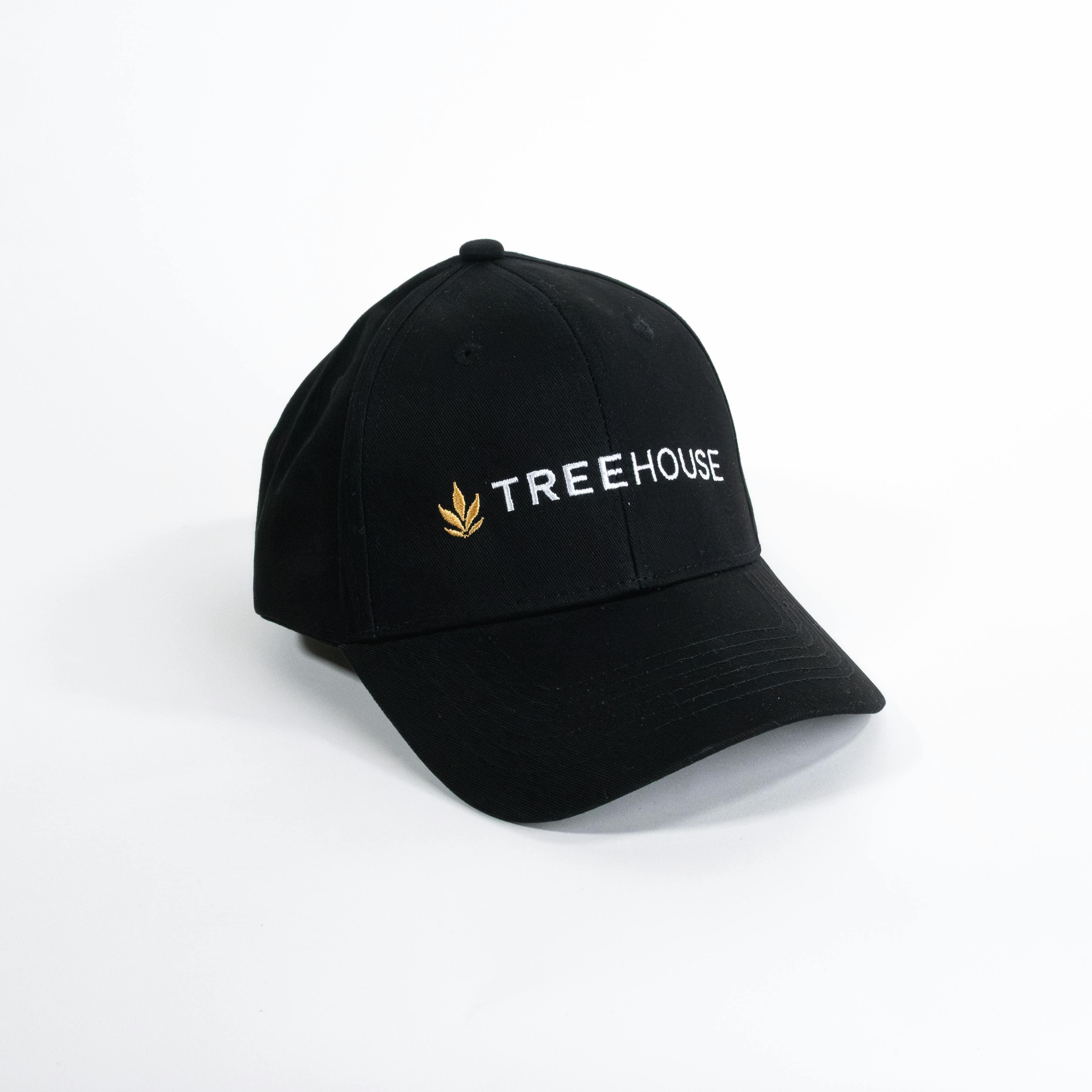 product image for Treehouse Dad Hat