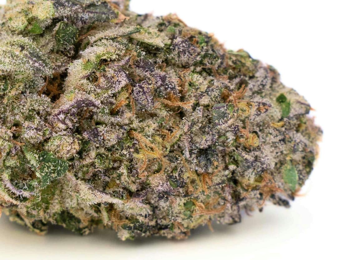 Permanent Marker • Dime Bag • .7g - House of Sacci | Treehouse Cannabis