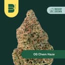 OG Chem Haze | Flower | 3.5g