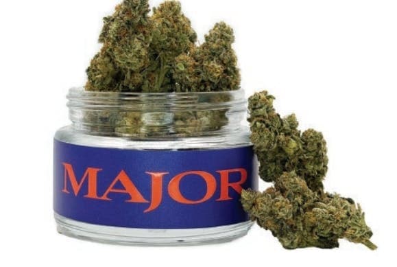 Neptune Haze • Flower • 3.5g - Major | Treehouse Cannabis