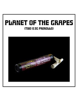 Planet of the grapes | 2pk Pre-rolls | 1g