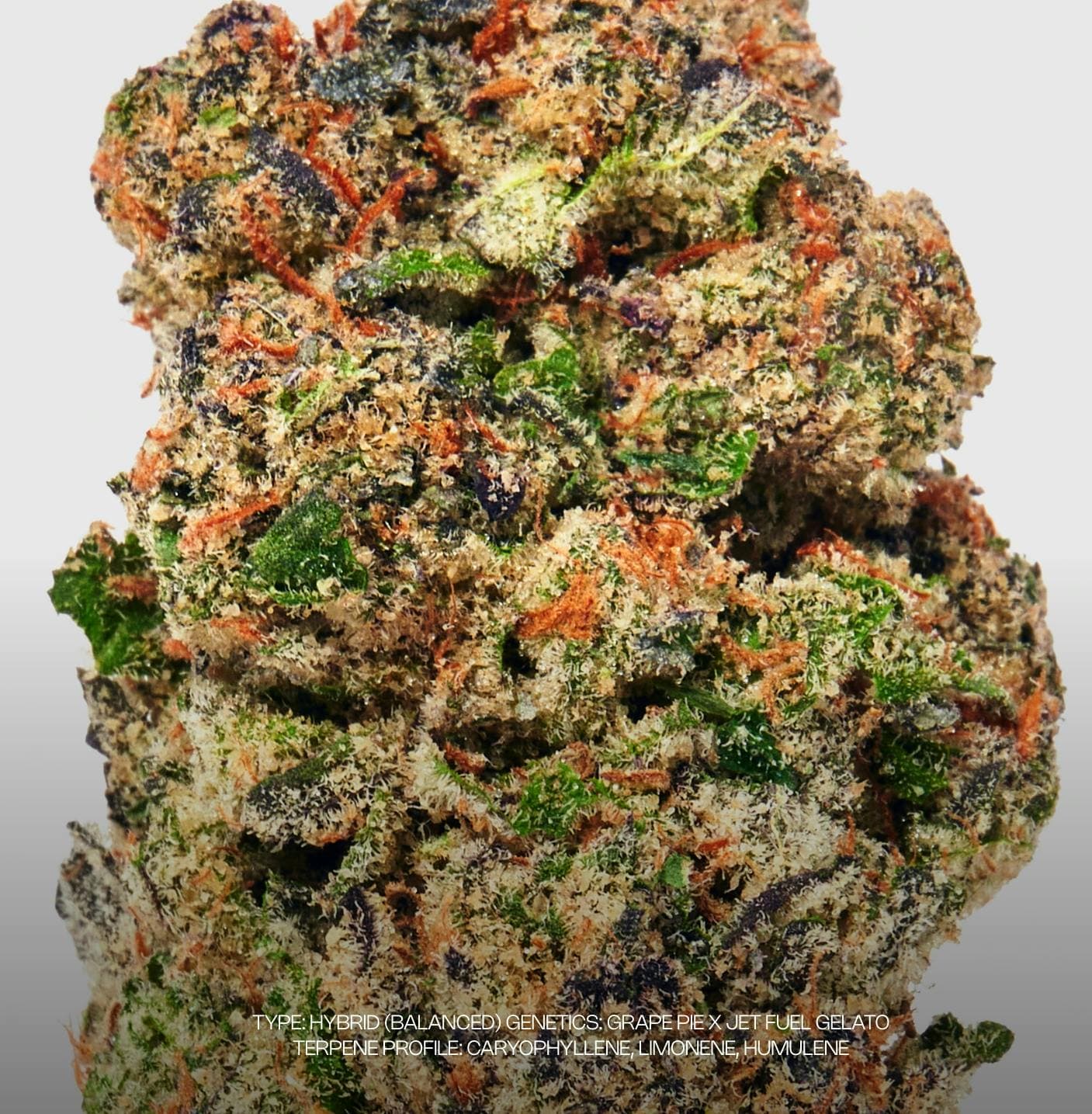 product image for Grape Gas #2 Flower 3.5g