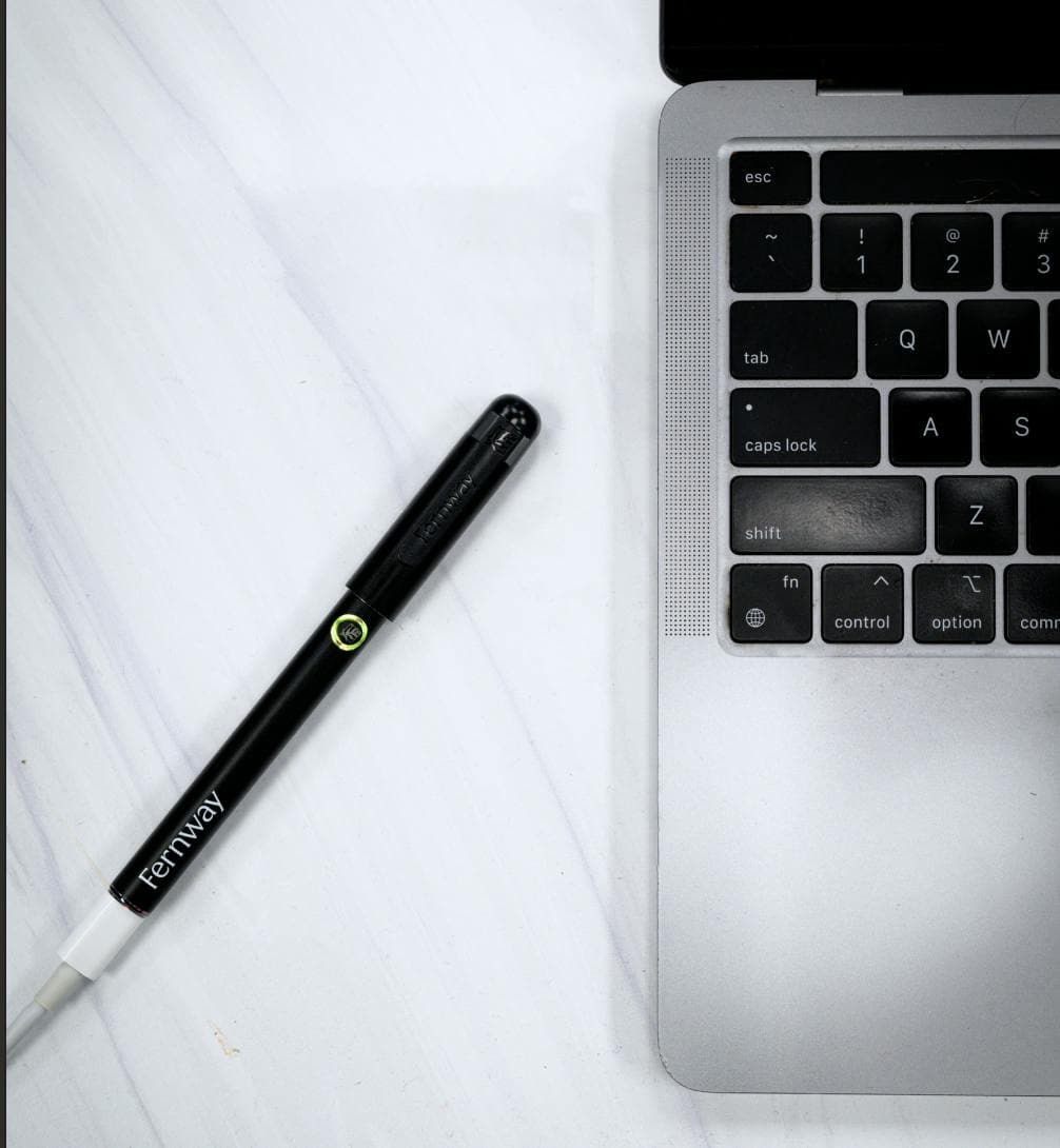 The Stylus • Vape Battery • 510 Thread - Fernway | Treehouse Cannabis
