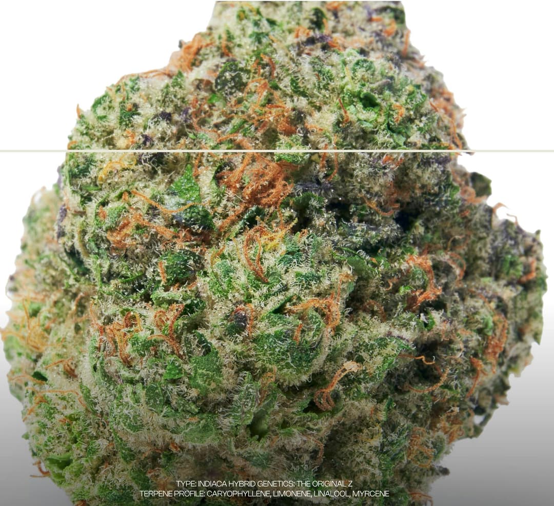 The Z • Flower • 3.5g - Dada Exotics | Treehouse Cannabis