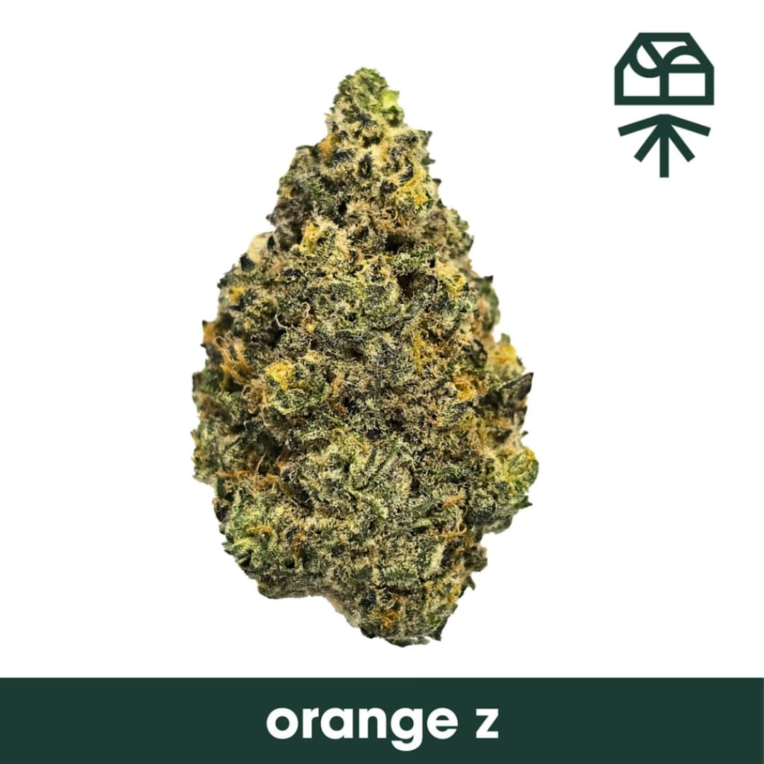 Orange Z • Flower • 28g - Grassroots | Treehouse Cannabis