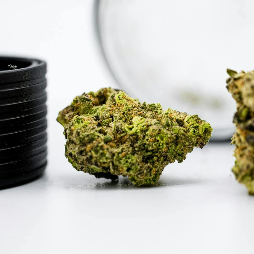 GUSHERS - Dank By Definition. | Treehouse Cannabis