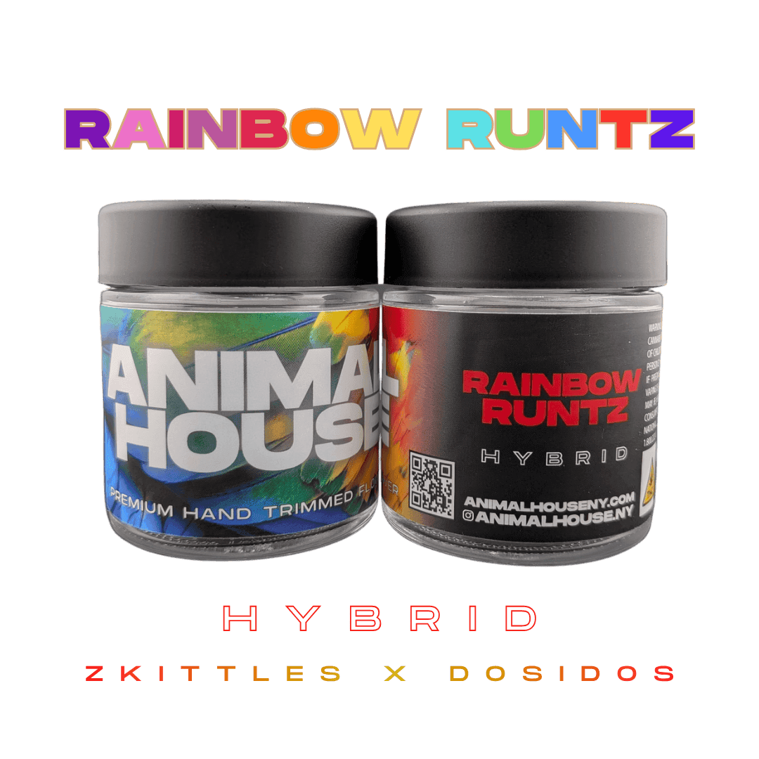 product image for Rainbow Runtz Flower 3.5g