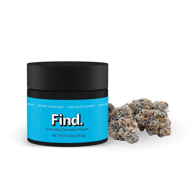 product image for Blueberry Muffin (B.B.M) Flower