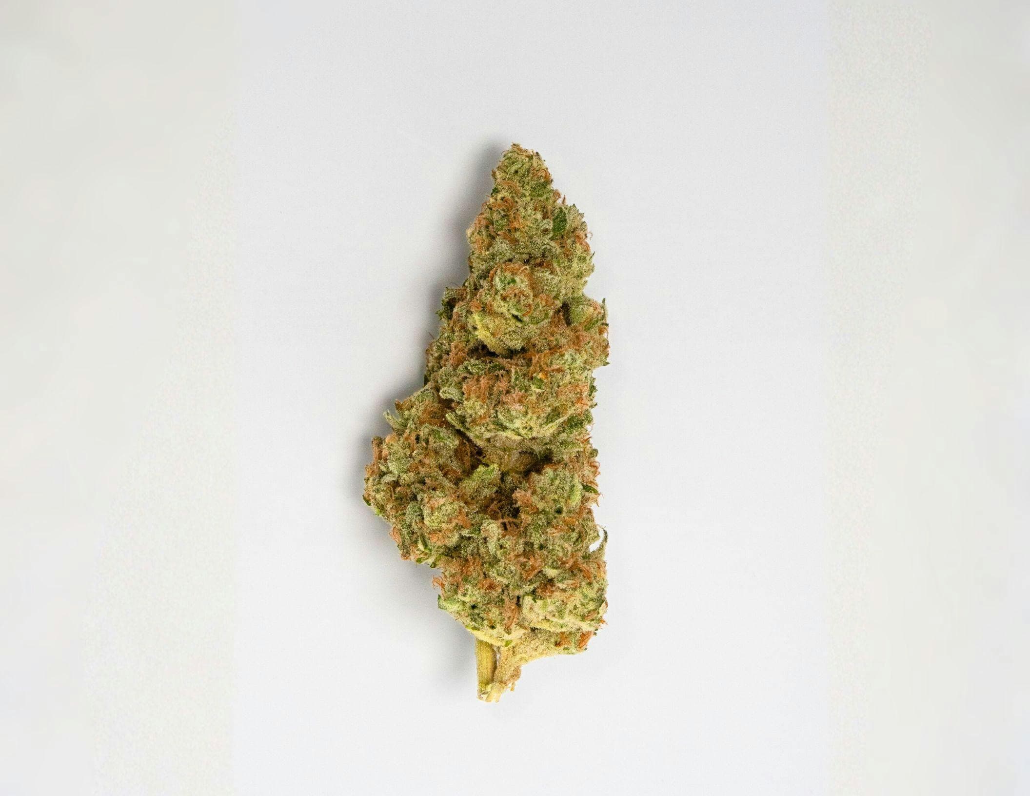 product image for Garlic Sauce Dime Bag .7g